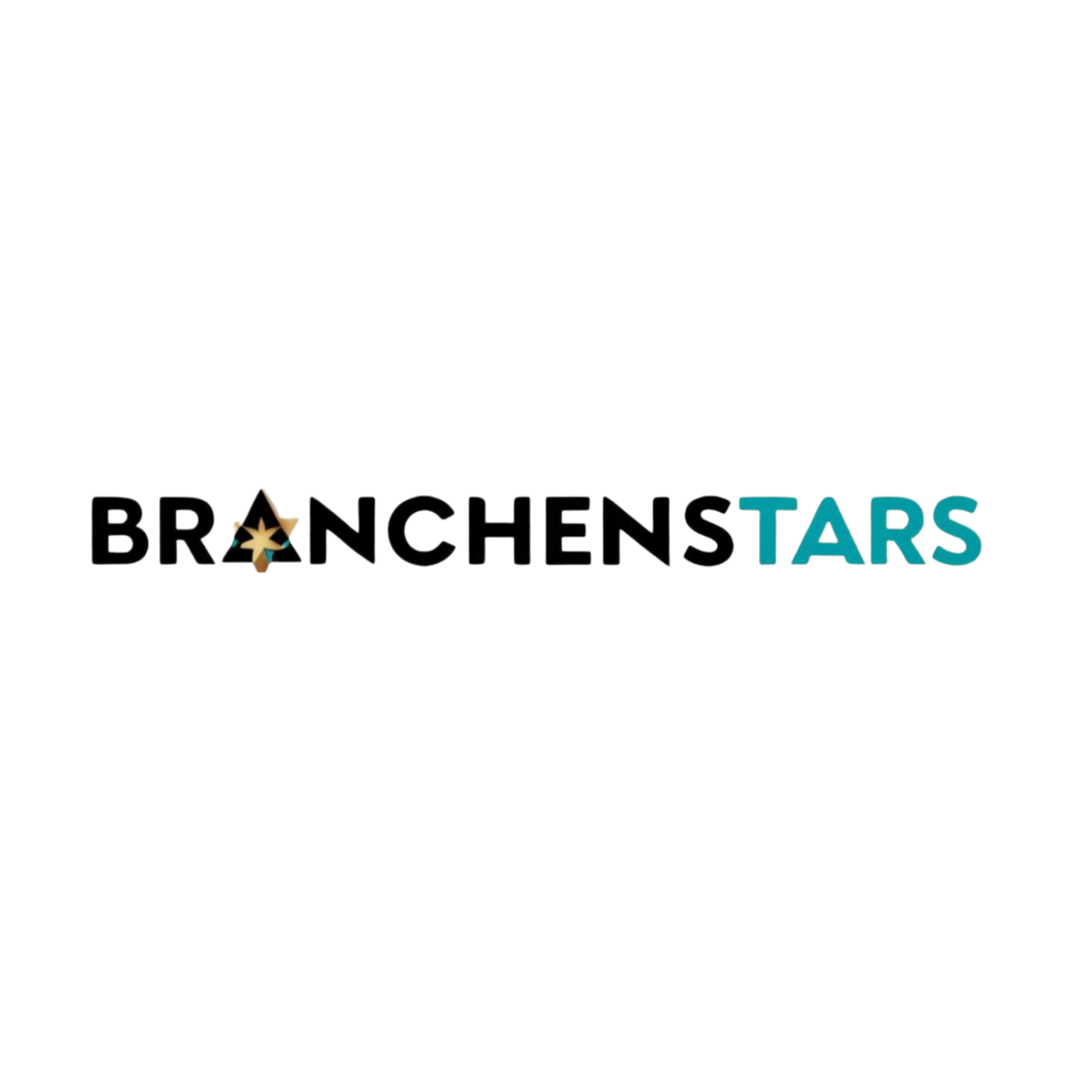 Branchenstars.de startet durch: Eine neue Ära der Unternehmensporträts für KMU in Deutschland