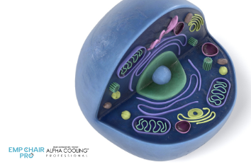 IHHT Sauerstofftherapie Bremen – Mehr Energie & bessere Zellgesundheit